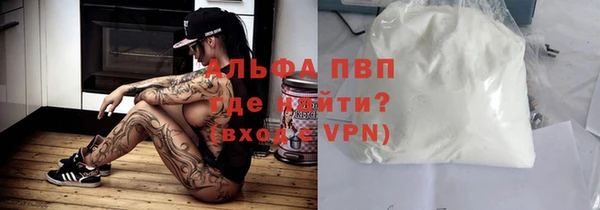 ГАЛЛЮЦИНОГЕННЫЕ ГРИБЫ Белокуриха
