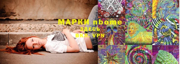 ГАЛЛЮЦИНОГЕННЫЕ ГРИБЫ Белокуриха