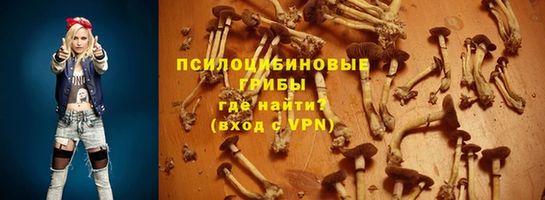 ГАЛЛЮЦИНОГЕННЫЕ ГРИБЫ Белокуриха