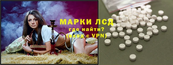 ГАЛЛЮЦИНОГЕННЫЕ ГРИБЫ Белокуриха