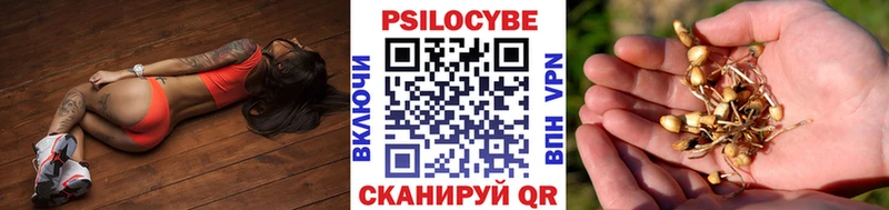 Галлюциногенные грибы MAGIC MUSHROOMS  купить наркотики цена  Горняк 